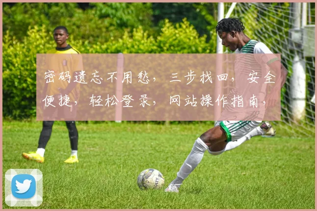 密码遗忘不用愁，三步找回，安全便捷，轻松登录，网站操作指南，快来看看吧