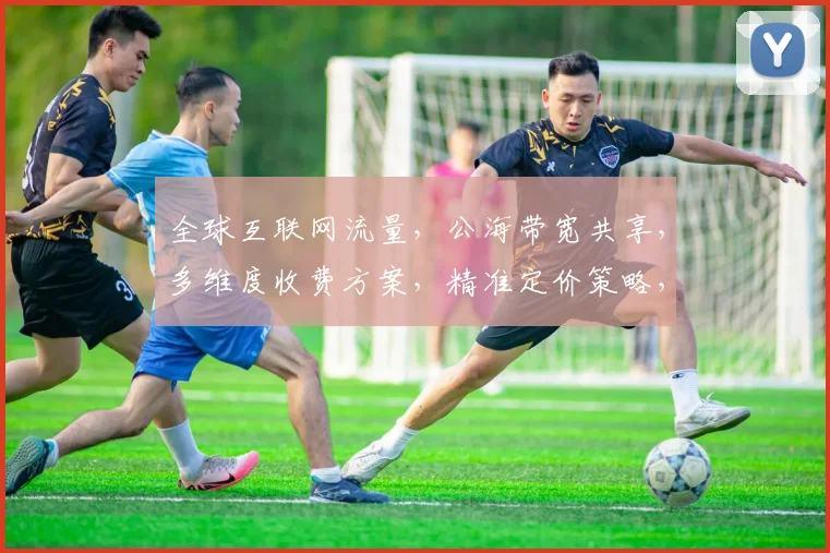 全球互联网流量，公海带宽共享，多维度收费方案，精准定价策略，三大亮点助力企业