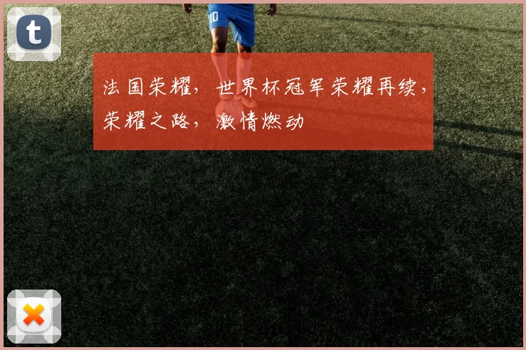 法国荣耀，世界杯冠军荣耀再续，荣耀之路，激情燃动