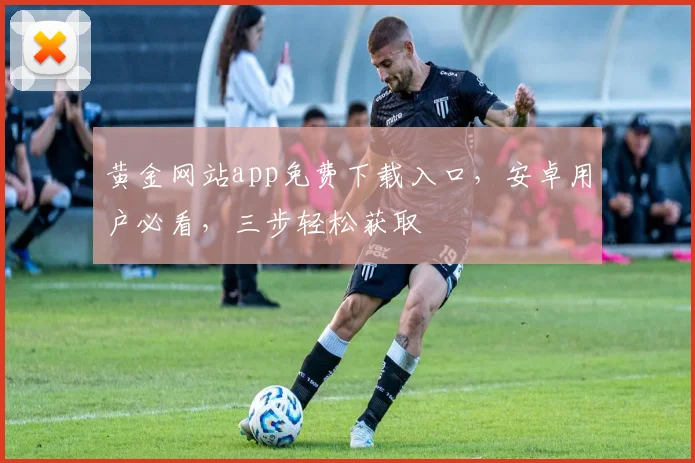 黄金网站app免费下载入口，安卓用户必看，三步轻松获取